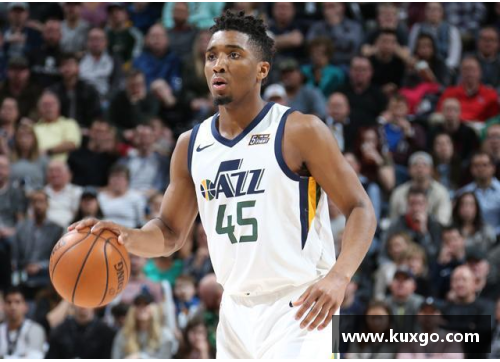 本赛季NBA排名分析及球队表现总结
